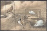 Молдова - Птицы из красной книги Молдовы. Блок(2003).