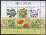 Молдова - Луговые цветы. Малый лист(2009). 