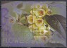 Гайяна - Цветы Южной Америки(2005).