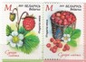 Беларусь - Флора. Ягоды. Лесная земляника(2025).