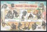 Чехия - Обезьяны пражского зоопарка. Гориллы(2025).